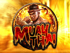 Muaythai game icon