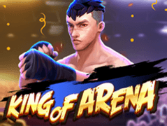 King Of Arena game icon